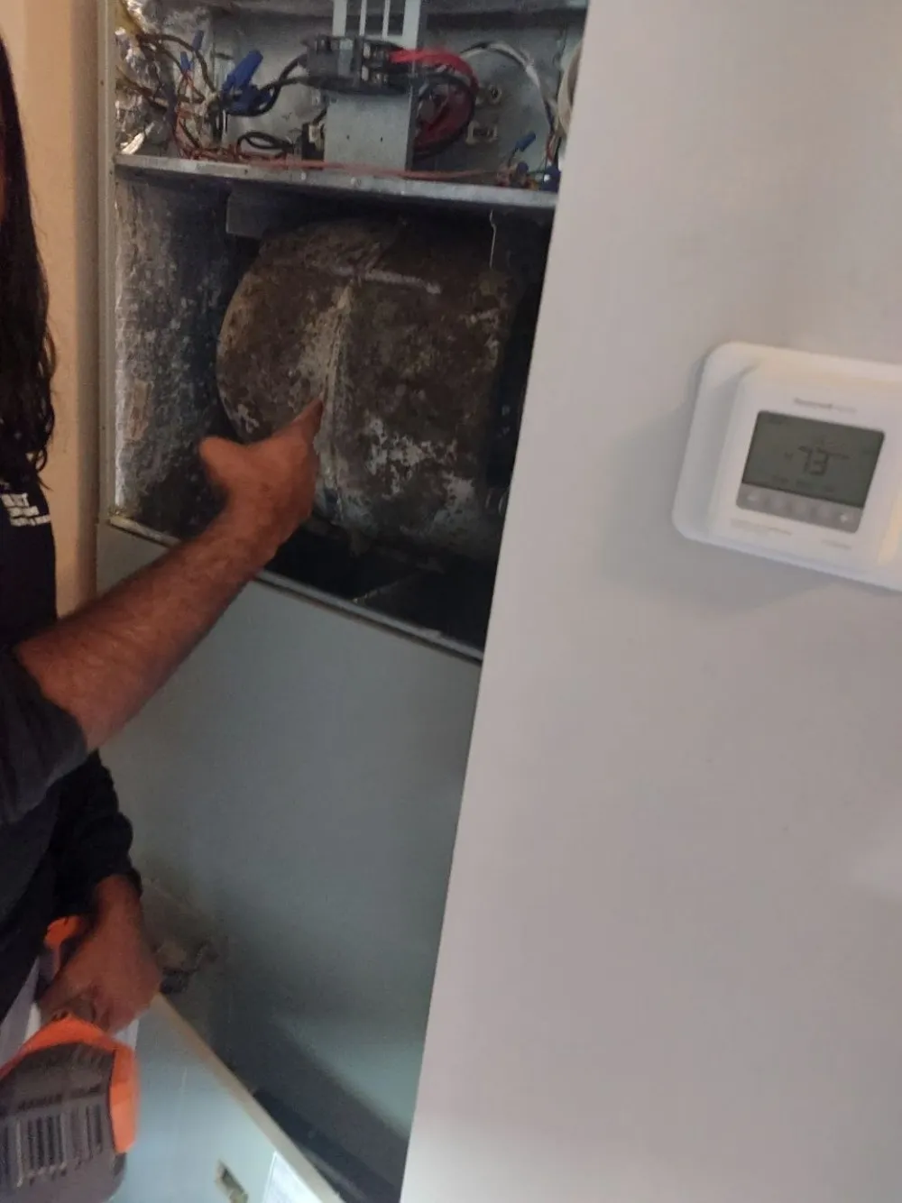Dirty mold-caked blower wheel inside a Broward County air handler