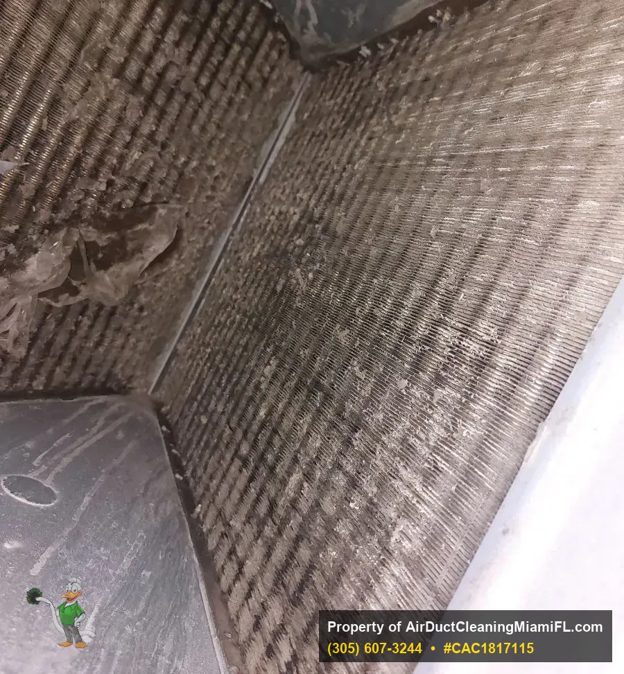 Real dirty AC coil from a North Miami service call in 2026 — visible dust, debris, and biofilm buildup that causes water leaks if not cleaned