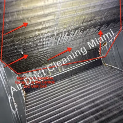 Central AC evaporator coil showing signs of mold buildup