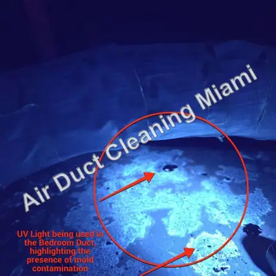 UV light inspection inside an air duct showing signs of mold