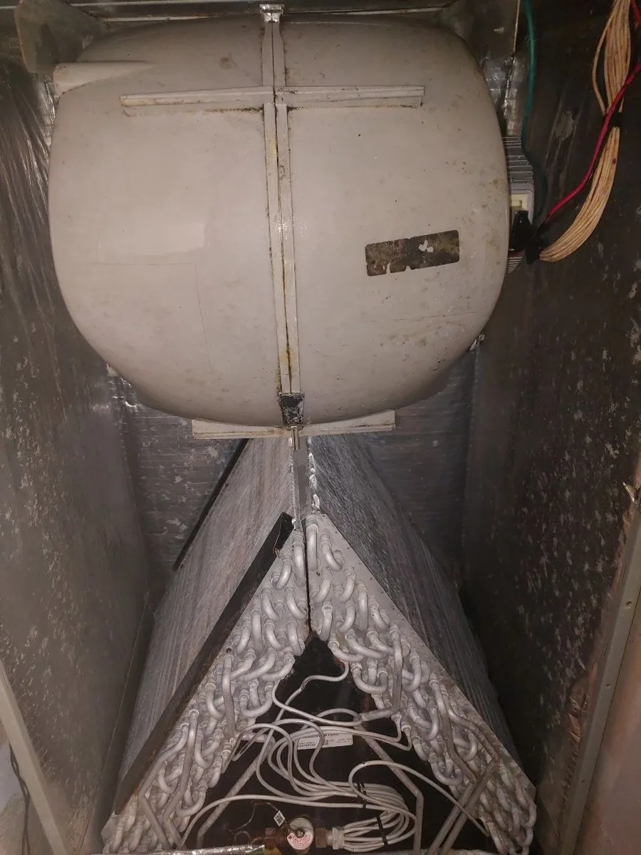 The same AC unit after professional coil and blower cleaning &mdash; fan and evaporator coil clean and clearly visible