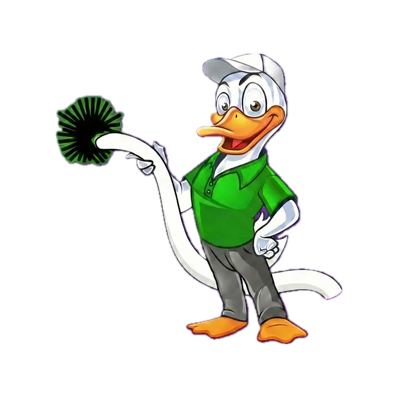 Air Duct Cleaning Miami duck mascot